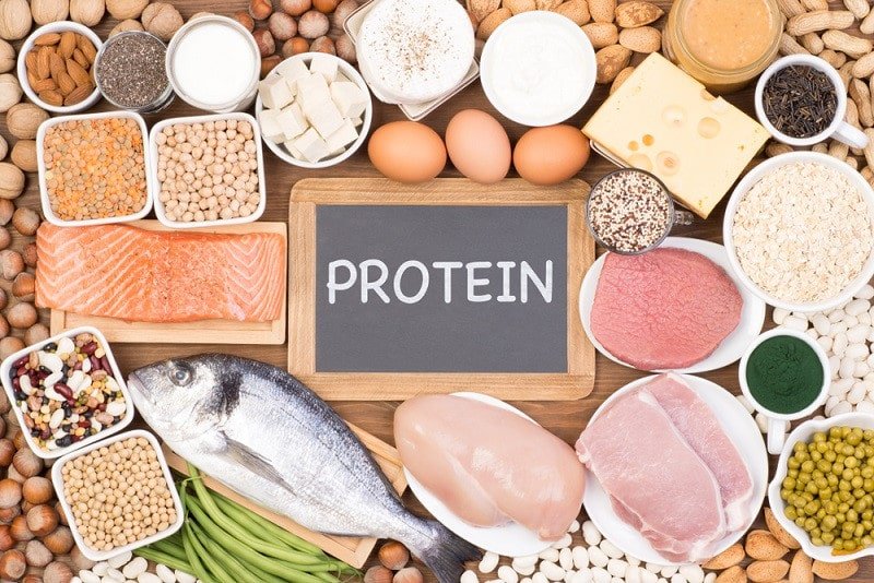 Eat More Proteins Eat More Proteins