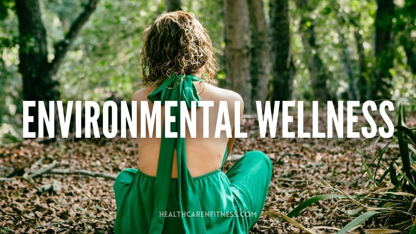 environmental wellness

