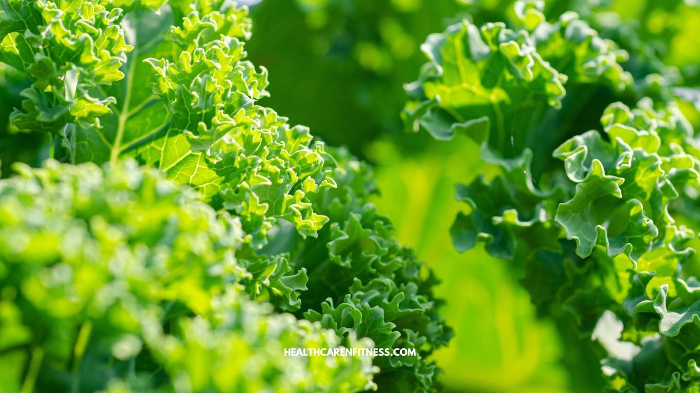 Kale: The Nutrient-Packed Leafy Green